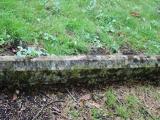 image of grave number 575722